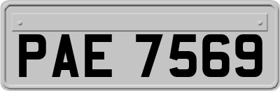 PAE7569
