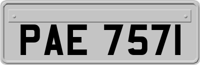 PAE7571