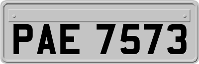 PAE7573