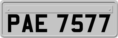 PAE7577