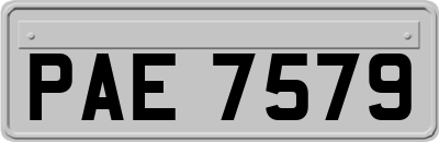 PAE7579