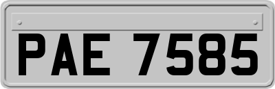 PAE7585