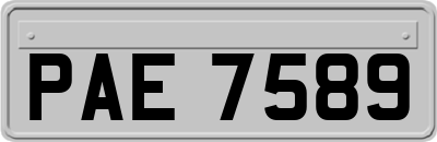 PAE7589
