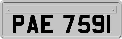 PAE7591