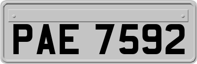 PAE7592