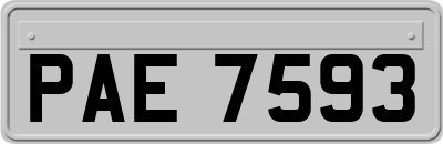 PAE7593