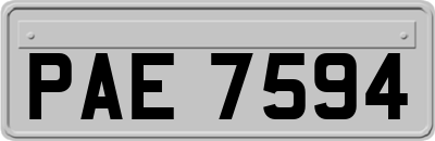 PAE7594