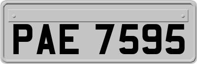 PAE7595