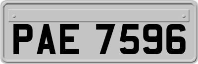 PAE7596
