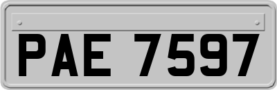 PAE7597