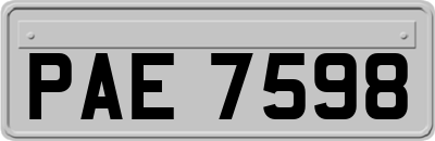 PAE7598