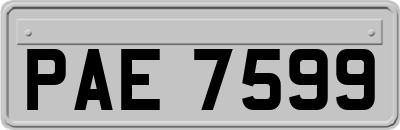 PAE7599