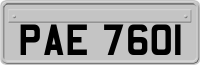 PAE7601