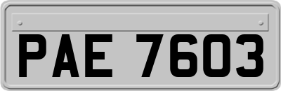 PAE7603