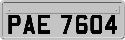 PAE7604