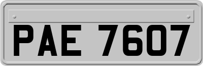 PAE7607