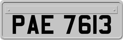 PAE7613