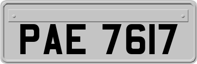 PAE7617