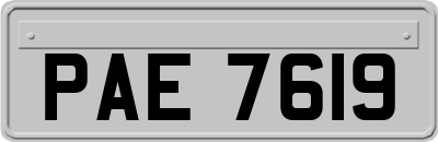 PAE7619