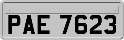 PAE7623