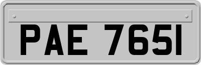 PAE7651