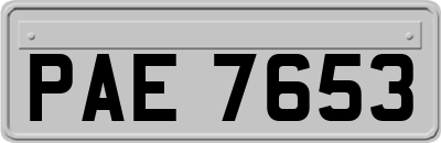 PAE7653