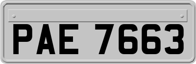 PAE7663