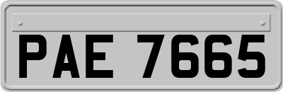 PAE7665