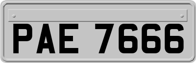 PAE7666