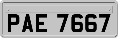 PAE7667