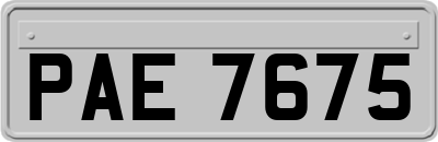 PAE7675
