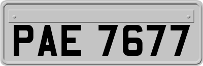 PAE7677