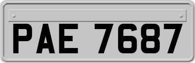PAE7687