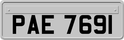 PAE7691