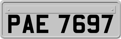 PAE7697