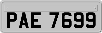 PAE7699