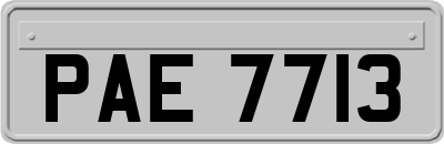PAE7713