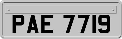 PAE7719