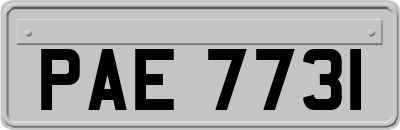 PAE7731