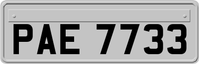 PAE7733