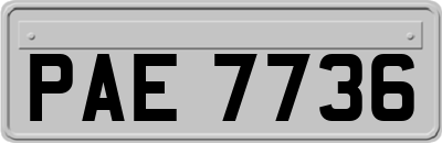 PAE7736