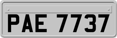 PAE7737
