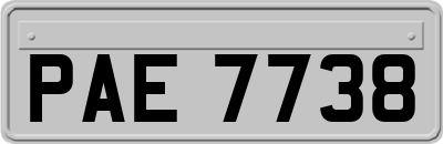 PAE7738