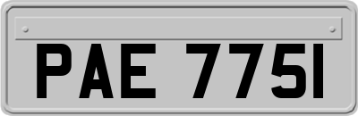 PAE7751