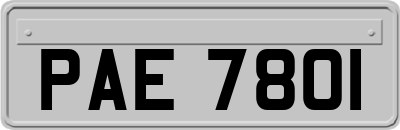 PAE7801