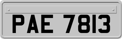 PAE7813