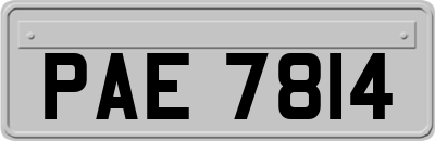 PAE7814