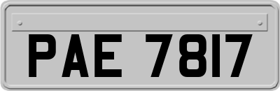 PAE7817