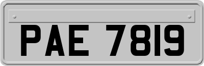 PAE7819