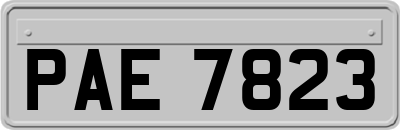PAE7823